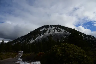 DSC_2913 (Large).JPG